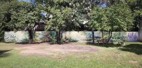 Terapeuticka záhrada pre Psychiatrickú kliniku  - foto č.1