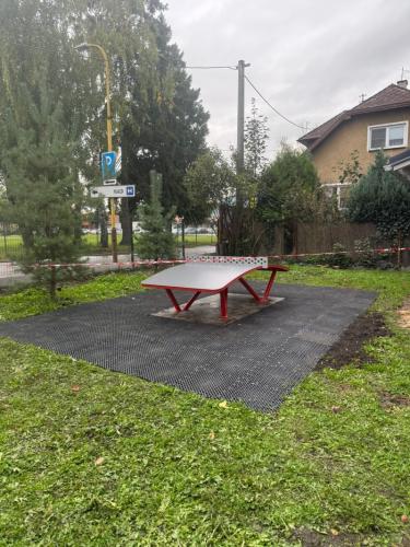 Terapeuticka záhrada pre Psychiatrickú kliniku  - foto č.5